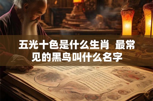 五光十色是什么生肖  最常见的黑鸟叫什么名字