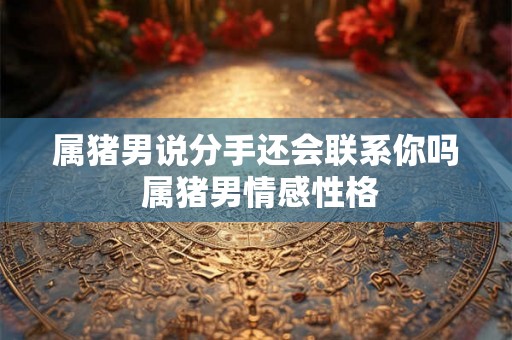 属猪男说分手还会联系你吗 属猪男情感性格 属猪男说分手还会联系你吗 属猪男情感性格