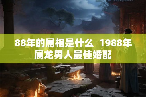 88年的属相是什么 1988年属龙男人最佳婚配 88年的属相是什么 1988年属龙男人最佳婚配