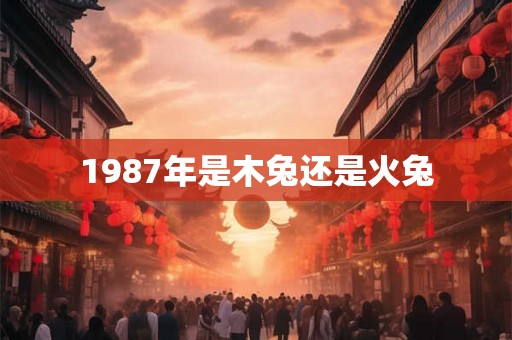 1987年是木兔还是火兔