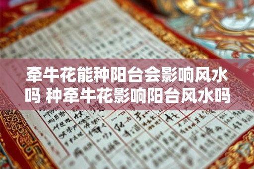牵牛花能种阳台会影响风水吗 种牵牛花影响阳台风水吗 牵牛花能种阳台会影响风水吗 种牵牛花影响阳台风水吗