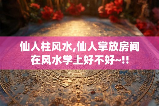仙人柱风水,仙人掌放房间在风水学上好不好~!!
