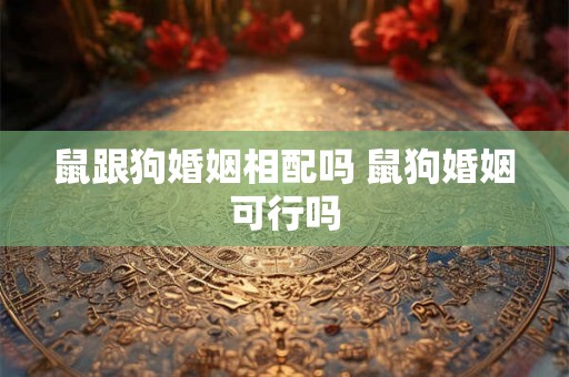 鼠跟狗婚姻相配吗 鼠狗婚姻可行吗