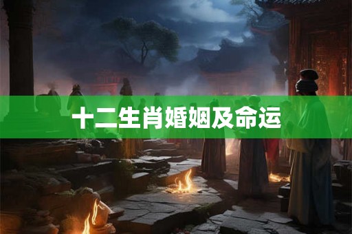 十二生肖婚姻及命运