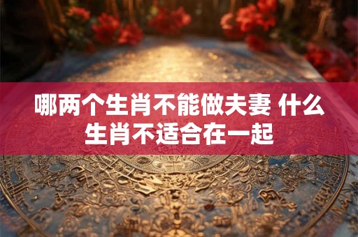 哪两个生肖不能做夫妻 什么生肖不适合在一起