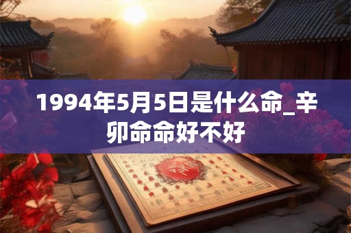 1994年5月5日是什么命_辛卯命命好不好
