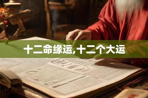 十二命缘运,十二个大运