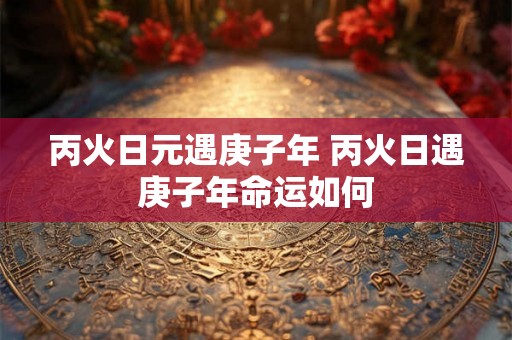 丙火日元遇庚子年 丙火日遇庚子年命运如何