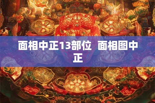 面相中正13部位  面相图中正