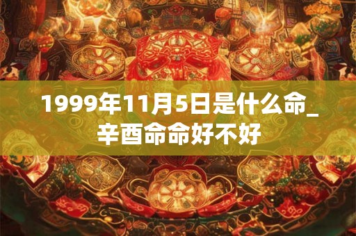 1999年11月5日是什么命_辛酉命命好不好