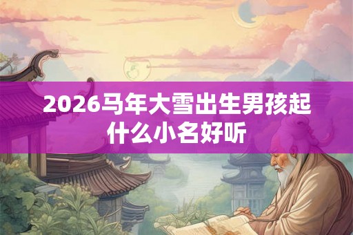 2026马年大雪出生男孩起什么小名好听