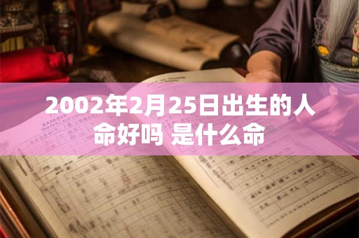 2002年2月25日出生的人命好吗 是什么命