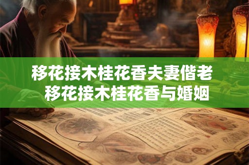 移花接木桂花香夫妻偕老  移花接木桂花香与婚姻