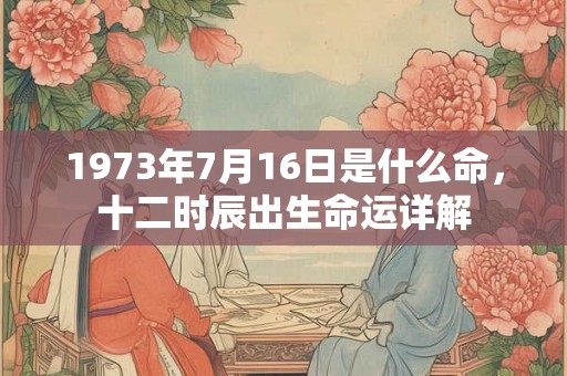 1973年7月16日是什么命，十二时辰出生命运详解