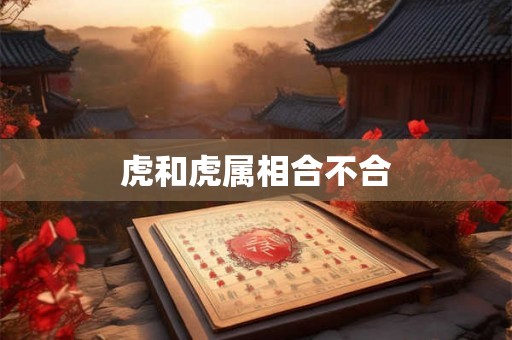 虎和虎属相合不合
