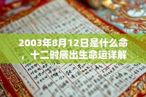 2003年8月12日是什么命,十二时辰出生命运详解 2003年8月12日是什么命,十二时辰出生命运详解