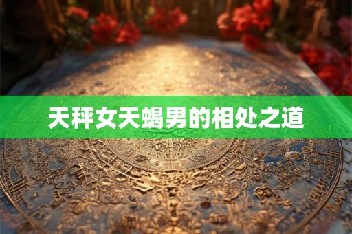 天秤女天蝎男的相处之道
