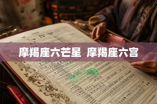 摩羯座六芒星  摩羯座六宫