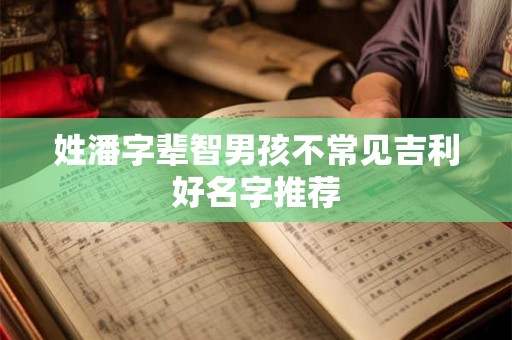 姓潘字辈智男孩不常见吉利好名字推荐