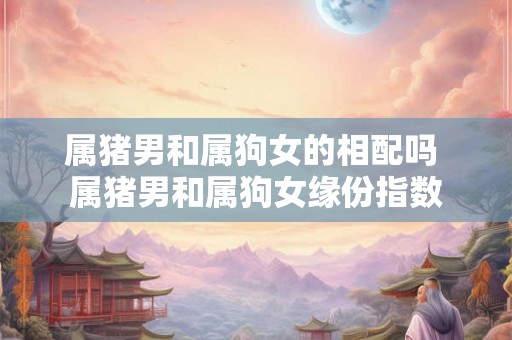 属猪男和属狗女的相配吗 属猪男和属狗女缘份指数