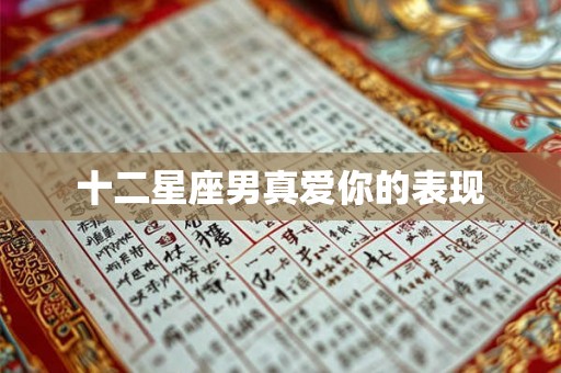 十二星座男真爱你的表现