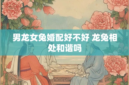 男龙女兔婚配好不好 龙兔相处和谐吗