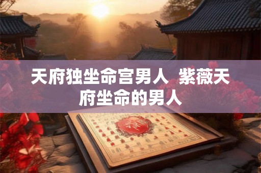 天府独坐命宫男人  紫薇天府坐命的男人