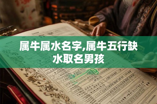 属牛属水名字,属牛五行缺水取名男孩