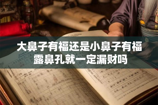 大鼻子有福还是小鼻子有福 露鼻孔就一定漏财吗