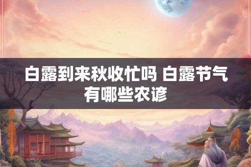 白露到来秋收忙吗 白露节气有哪些农谚 白露到来秋收忙吗 白露节气有哪些农谚