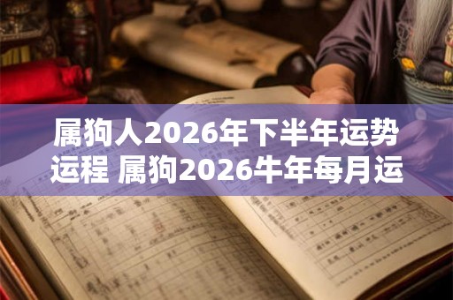 属狗人2026年下半年运势运程 属狗2026牛年每月运程详解