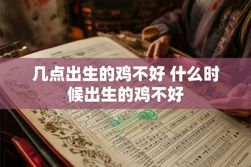 几点出生的鸡不好 什么时候出生的鸡不好