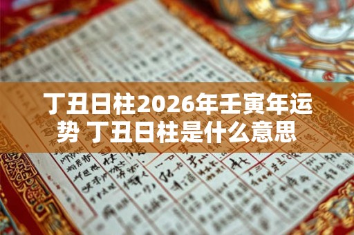 丁丑日柱2026年壬寅年运势 丁丑日柱是什么意思