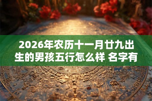 2026年农历十一月廿九出生的男孩五行怎么样 名字有什么高分推荐