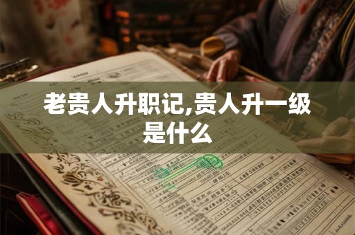 老贵人升职记,贵人升一级是什么