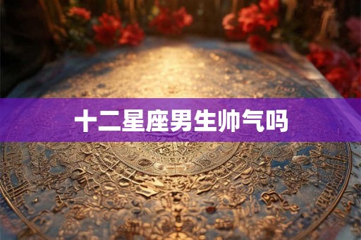 十二星座男生帅气吗