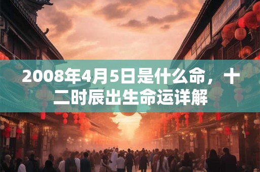 2008年4月5日是什么命，十二时辰出生命运详解