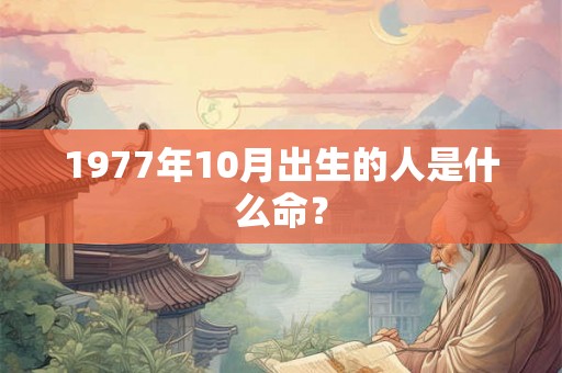 1977年10月出生的人是什么命？