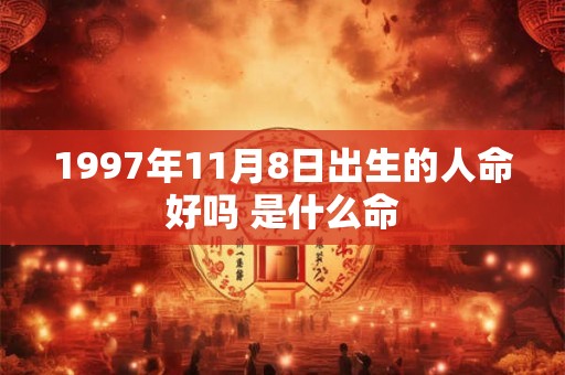 1997年11月8日出生的人命好吗 是什么命