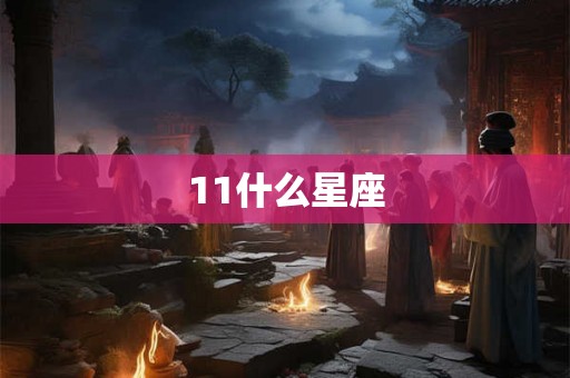 11什么星座