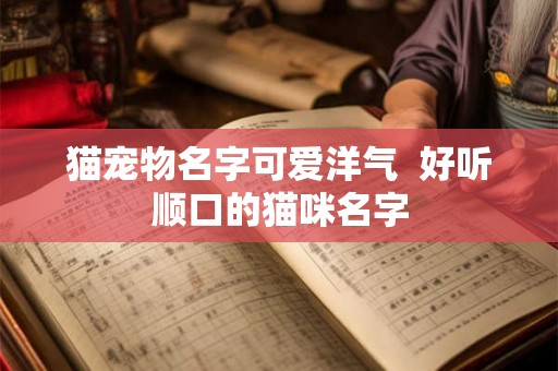 猫宠物名字可爱洋气  好听顺口的猫咪名字
