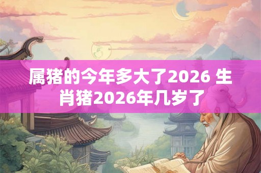 属猪的今年多大了2026 生肖猪2026年几岁了