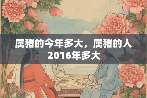 属猪的今年多大，属猪的人2016年多大