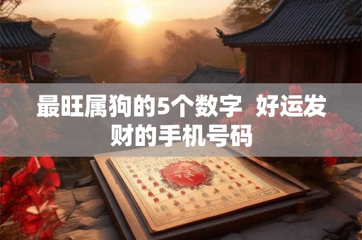 最旺属狗的5个数字 好运发财的手机号码 最旺属狗的5个数字 好运发财的手机号码
