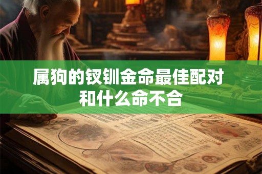 属狗的钗钏金命最佳配对 和什么命不合