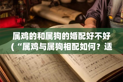 属鸡的和属狗的婚配好不好(“属鸡与属狗相配如何？适合还是劝退？”)