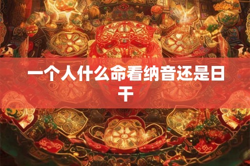 一个人什么命看纳音还是日干