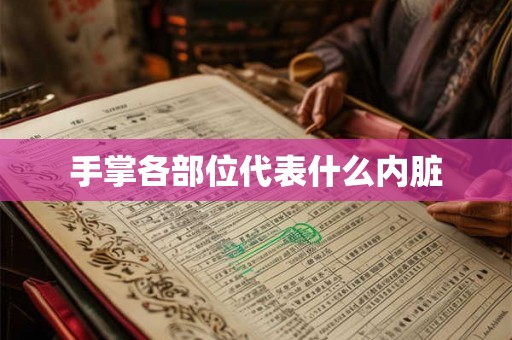 手掌各部位代表什么内脏