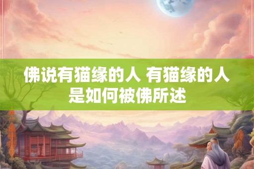 佛说有猫缘的人 有猫缘的人是如何被佛所述
