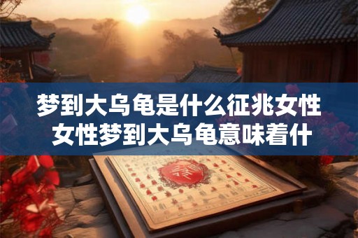 梦到大乌龟是什么征兆女性 女性梦到大乌龟意味着什么